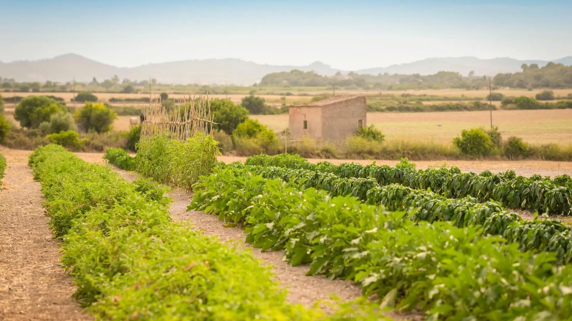 Finca Son Roig By Valentin Porreres Country house